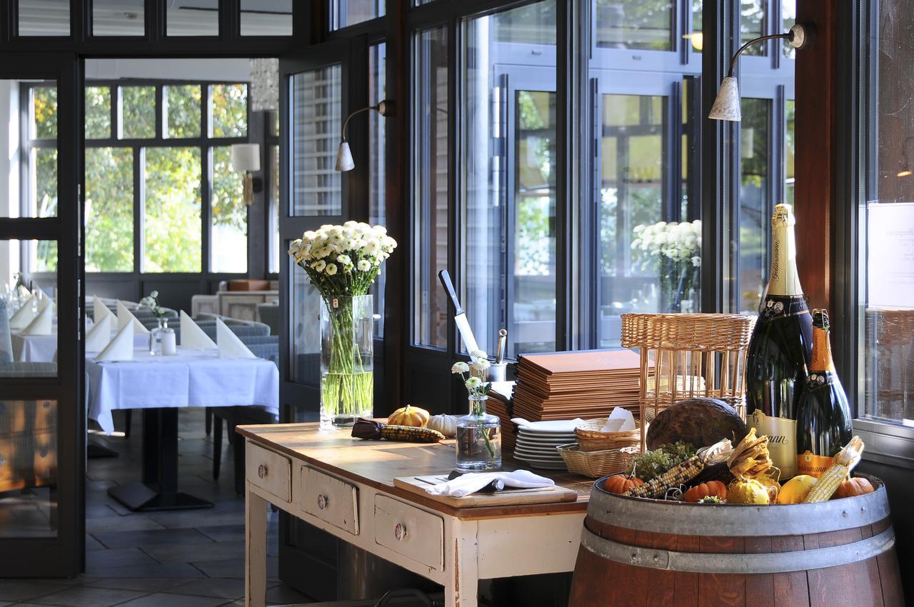 Elbterrasse Wachwitz Hotel Дрезден Екстериор снимка