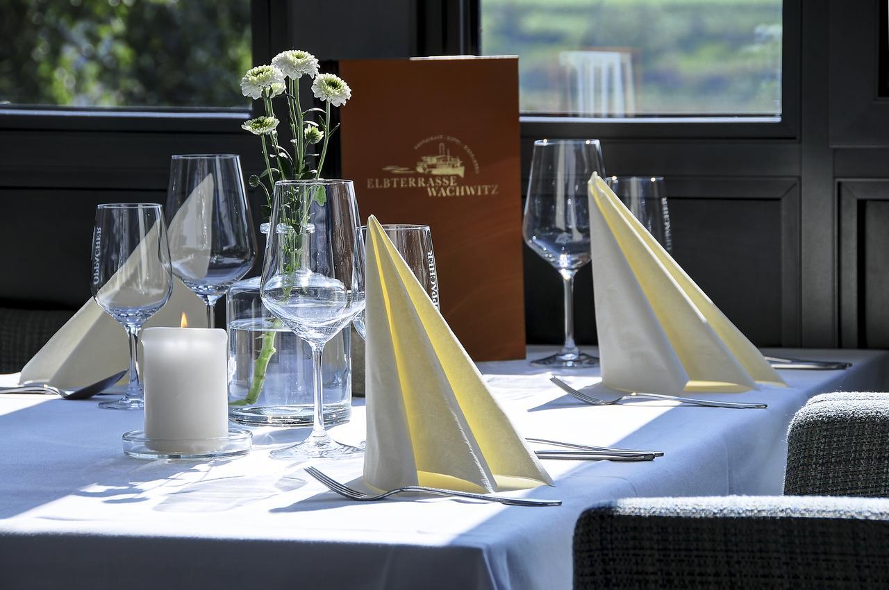 Elbterrasse Wachwitz Hotel Дрезден Екстериор снимка