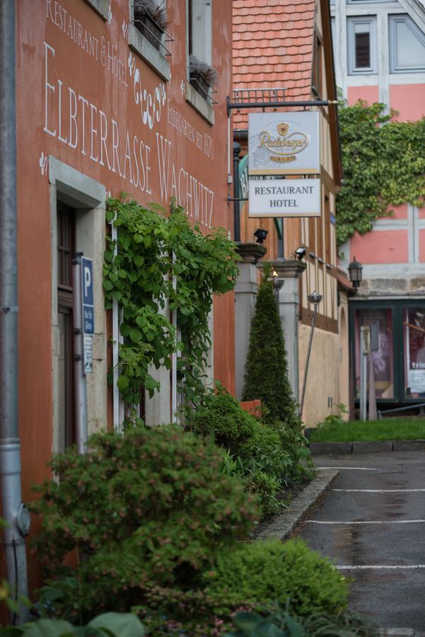 Elbterrasse Wachwitz Hotel Дрезден Екстериор снимка